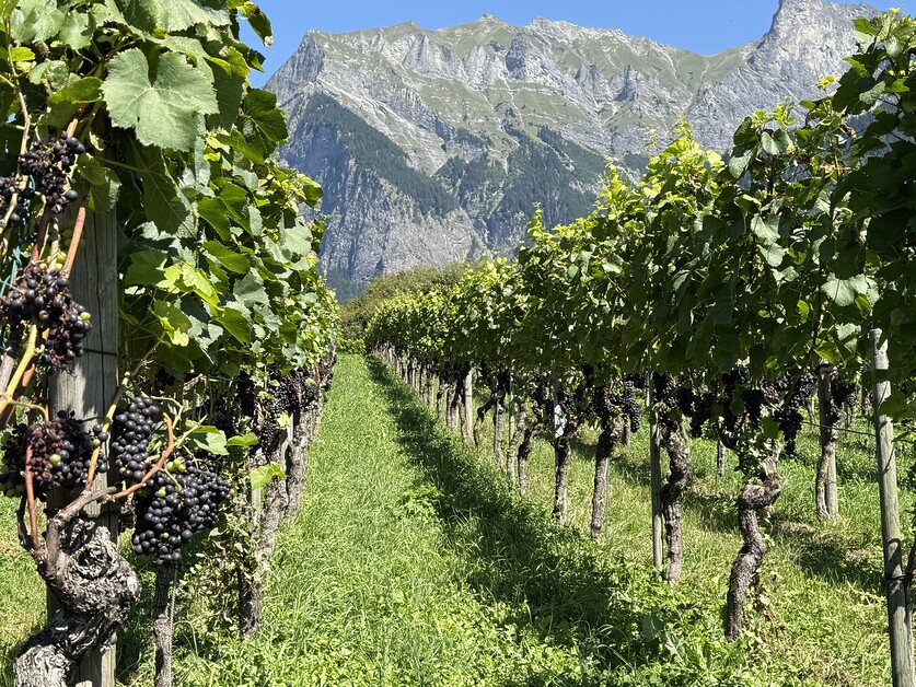 Andy Mossack revisits his memorable Grand Tour of Switzerland following its tenth anniversary.