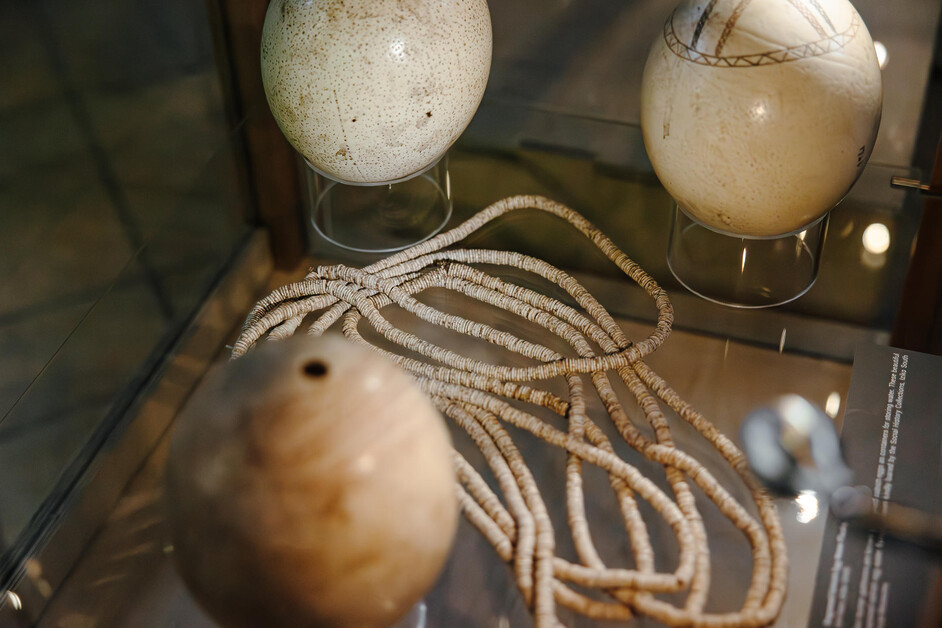 At the De Hoop Nature Reserve outside Cape Town, Sarah Kingdom discovers an extraordinary exhibition that reveals how the earliest Homo sapiens shaped the foundations of modern humanity.