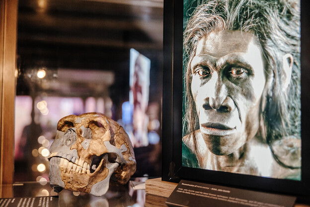 At the De Hoop Nature Reserve outside Cape Town, Sarah Kingdom discovers an extraordinary exhibition that reveals how the earliest Homo sapiens shaped the foundations of modern humanity.