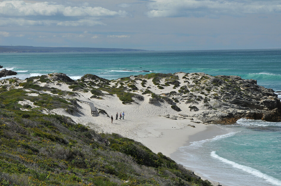 At the De Hoop Nature Reserve outside Cape Town, Sarah Kingdom discovers an extraordinary exhibition that reveals how the earliest Homo sapiens shaped the foundations of modern humanity.