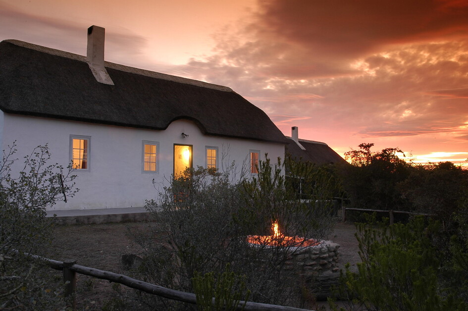 At the De Hoop Nature Reserve outside Cape Town, Sarah Kingdom discovers an extraordinary exhibition that reveals how the earliest Homo sapiens shaped the foundations of modern humanity.