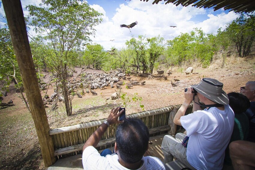 Sarah Kingdom Checks In At The Victoria Falls Safari Club And Discovers A Place That Combines The Spectacle Of The Falls With The Serenity Of The Bush.