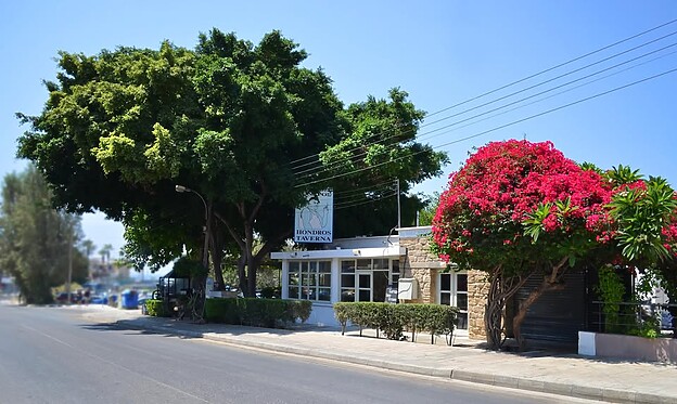 Solange Berchemin dives into a traditional mezze at the Hondros Tavern In Paphos