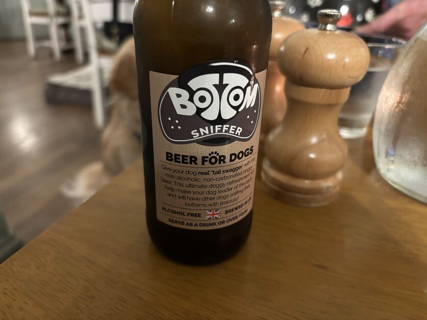 Anthea Gerrie Indulges Her Pooch In The New Forest At The Incredibly Dog-Friendly Montagu Arms