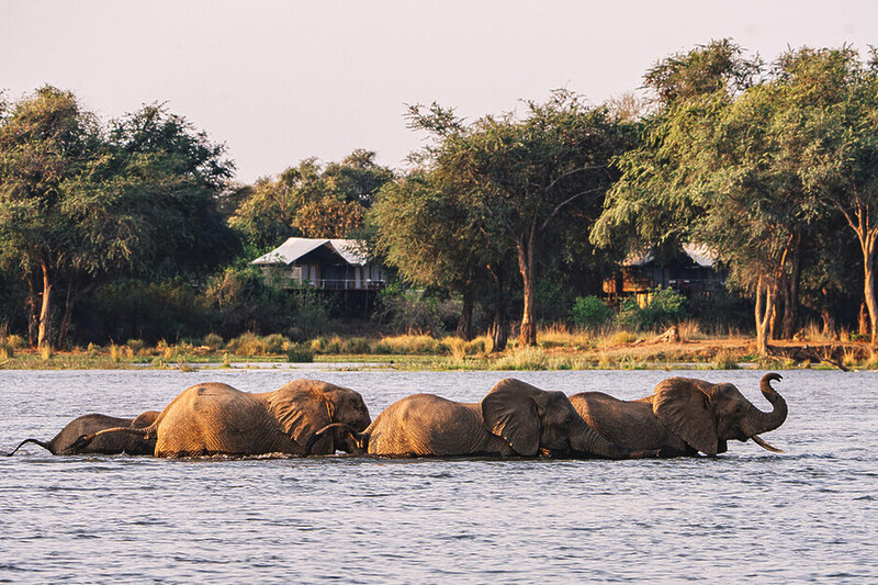 Sarah Kingdom visits Dulini Anabezi and discovers a quietly elegant camp in Zambia’s Lower Zambezi National Park.