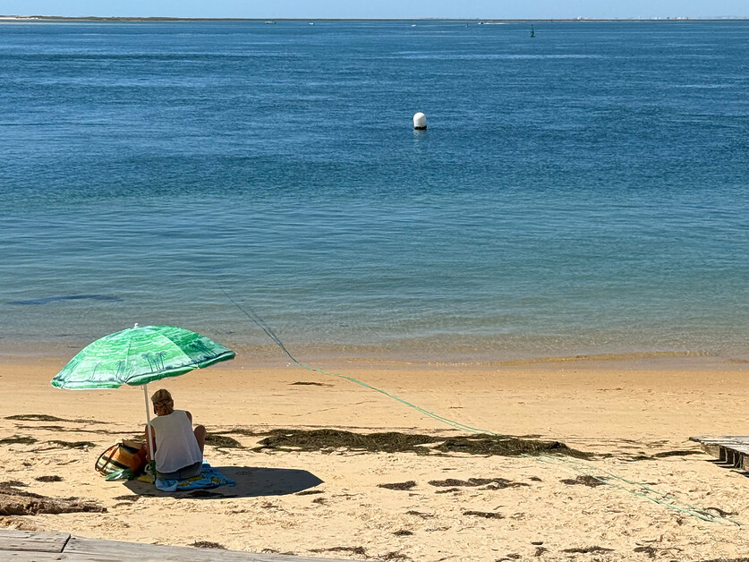 Guide to the Algarve. Discover some hidden gems away from the coast. 6 Lynne Coates discovers some of the region’s lesser known destinations in her personal guide to the Algarve.