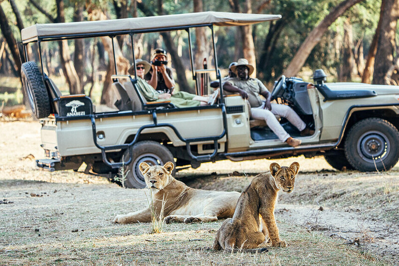 Sarah Kingdom visits Dulini Anabezi and discovers a quietly elegant camp in Zambia’s Lower Zambezi National Park.