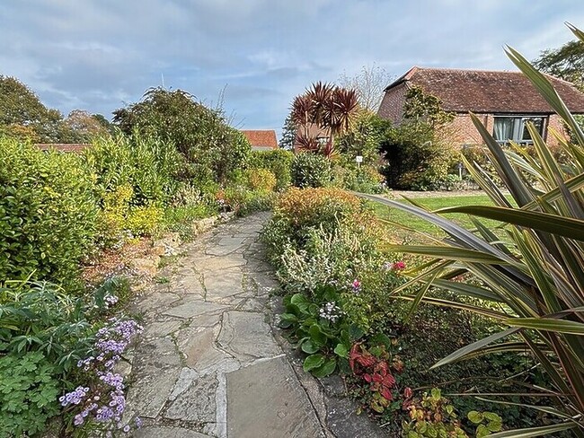 Anthea Gerrie Indulges Her Pooch In The New Forest At The Incredibly Dog-Friendly Montagu Arms
