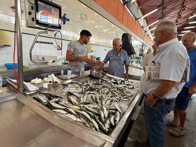 Guide to the Algarve. Discover some hidden gems away from the coast. 3 Lynne Coates discovers some of the region’s lesser known destinations in her personal guide to the Algarve.