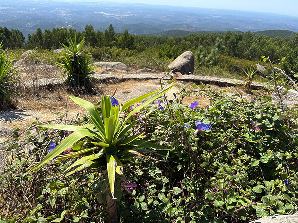 Guide to the Algarve. Discover some hidden gems away from the coast. 8 Lynne Coates discovers some of the region’s lesser known destinations in her personal guide to the Algarve.