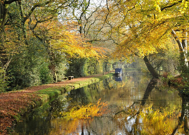 Black Prince Canal Boat Holidays. Discover the wonder of a Self-Drive Canal Cruise