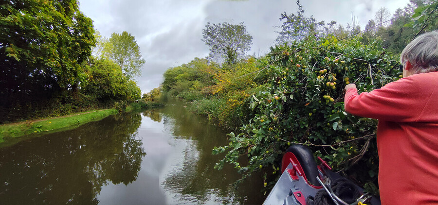 Black Prince Canal Boat Holidays. Discover the wonder of a Self-Drive Canal Cruise
