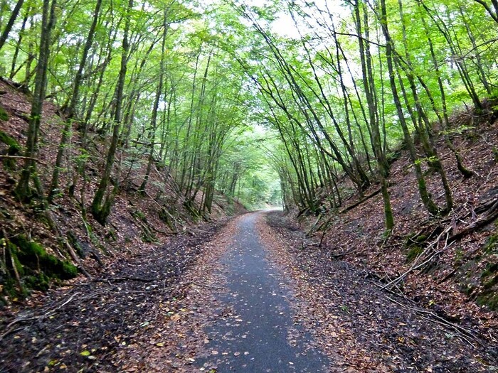 Rupert Parker Gets In The Saddle For His Guide To Cycling Eurovelo 3.