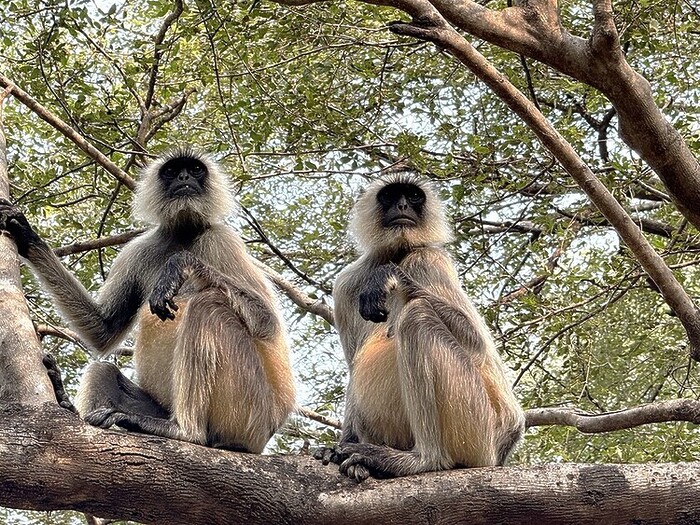 Andy Mossack reveals his Insider Guide to Rajasthan as he encounters a gloriously tourist-free side to the eastern side of the Land of Kings.