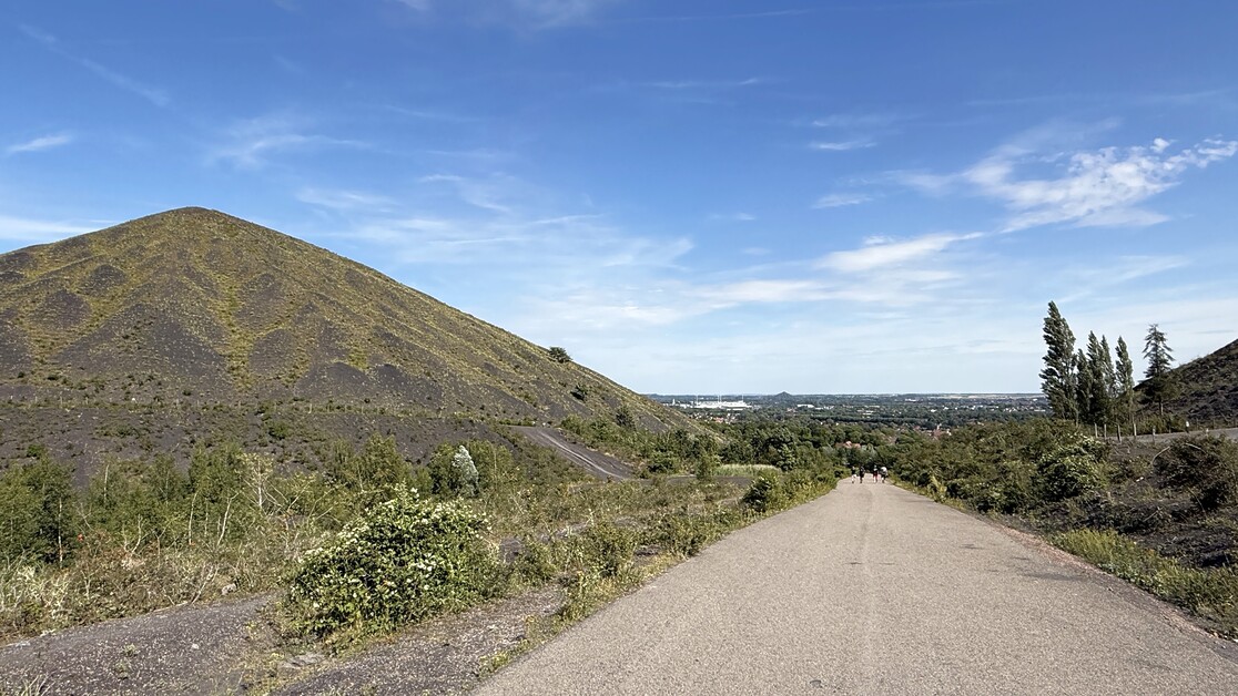 Andy Mossack goes to discover the Pas de Calais and finds much more to see than just the ferry port in your rearview mirror.