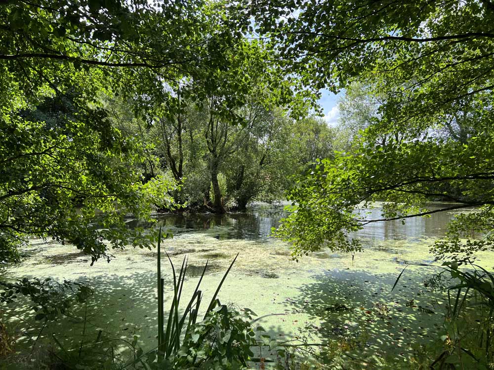 Beverley Watts stays at Moorleaze. An eco-aware cottage retreat in rural England, and finds it definitely the way to recalibrate your life and chill out.