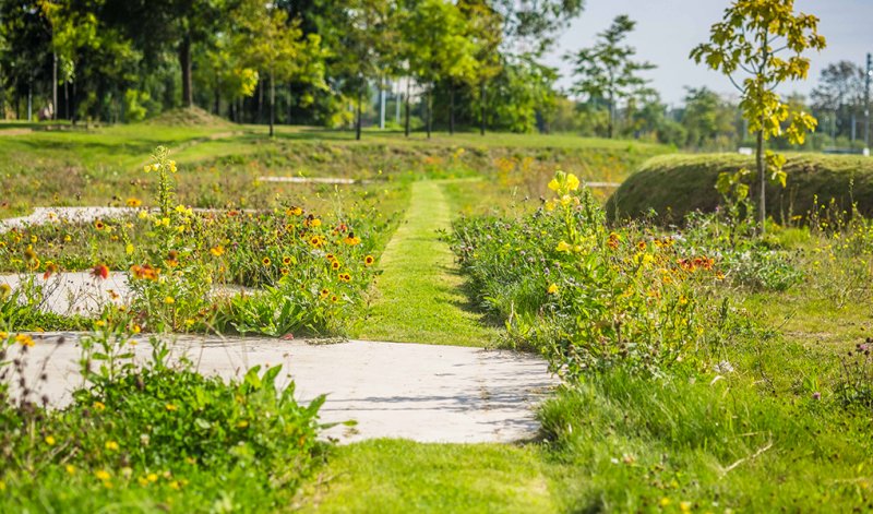 Andy Mossack goes to discover the Pas de Calais and finds much more to see than just the ferry port in your rearview mirror.