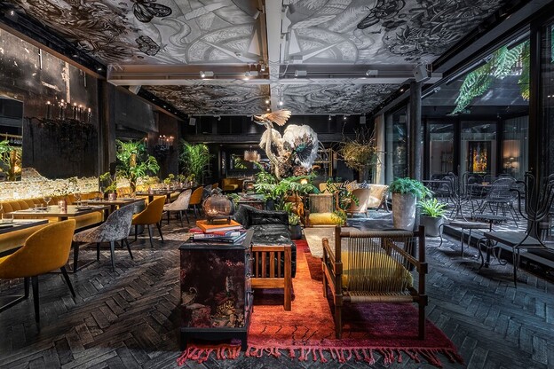 Andy Mossack eats at YOPO Zaytoun and takes a deep dark dive into worshiping the olive, tasting sublime Levantine flavours and schmoozing with fantastic fashionistas.